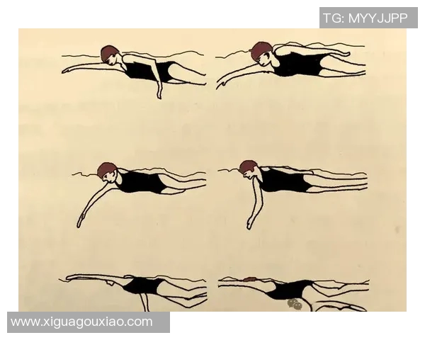 自由泳初学者必看技巧与训练方法提升游泳能力的全攻略